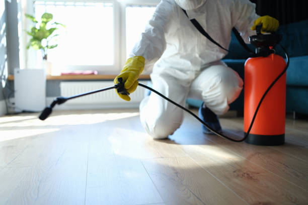 Trusted Sewage Cleanup service in Milford, IL - Four Month Blood Cleanse